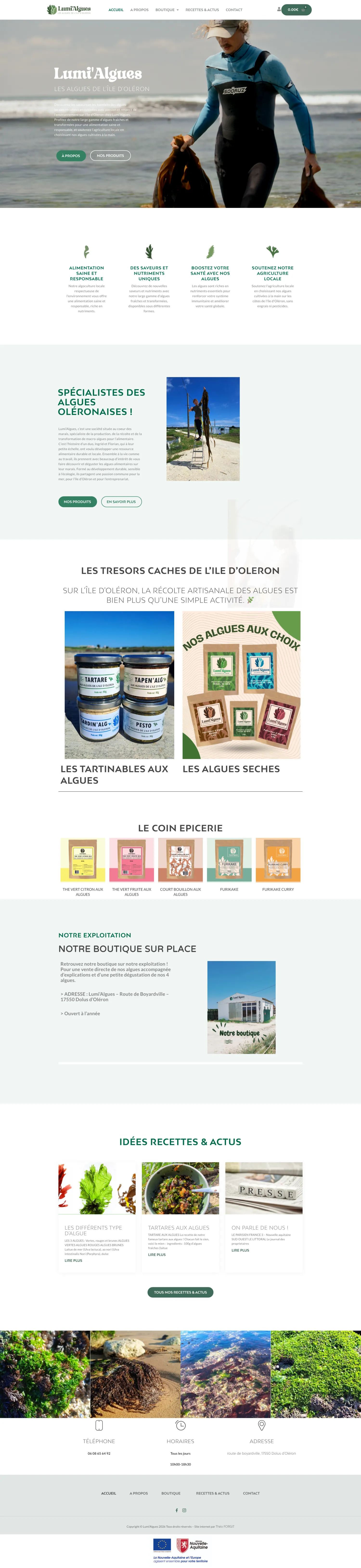 Aperçu du site internet Lumialgues créé par FORGITWEB · secteur Services