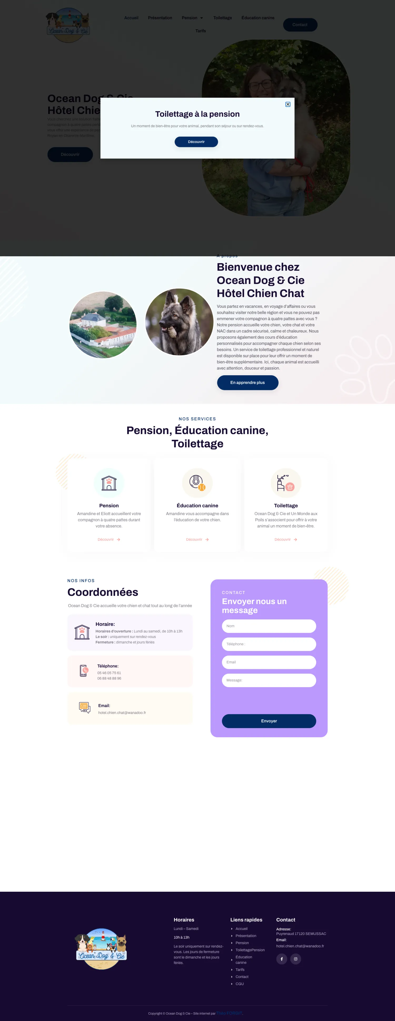 Aperçu du site internet Oceandogandcie créé par FORGITWEB · secteur Services