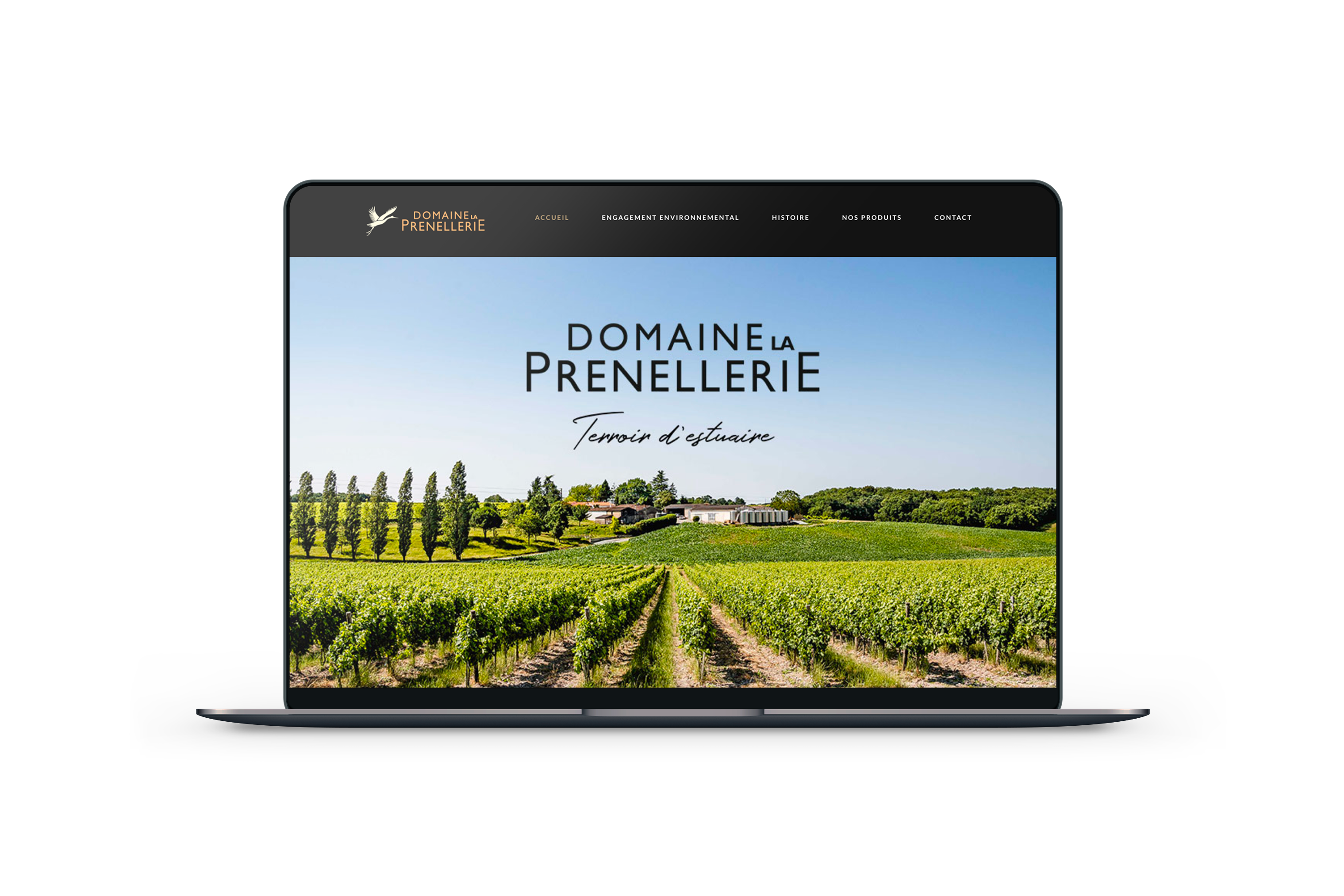 Création site internet vitrine pour vigneron